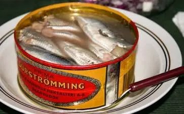 《罐头小人》读后感