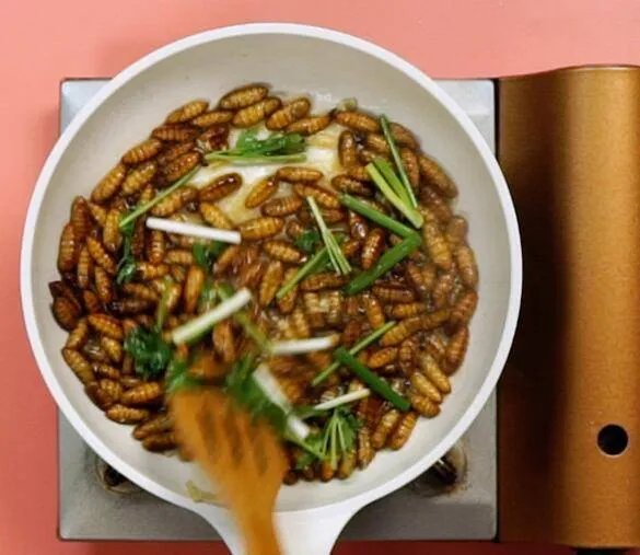 蚕蛹怎么吃