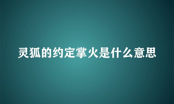 灵狐的约定掌火是什么意思