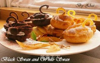 家族的秘密---黑天鹅与白天鹅(BLACK SWAN AND WHITE SWAN)