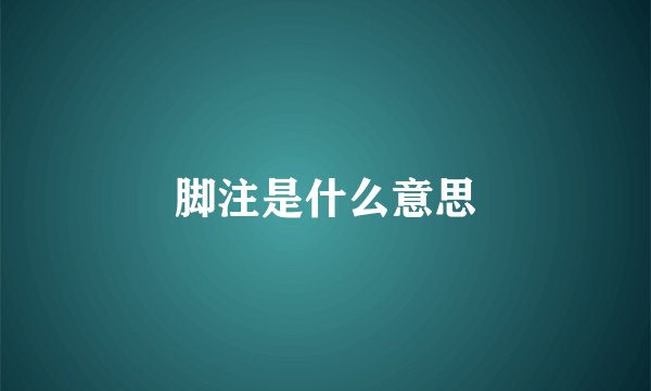 脚注是什么意思