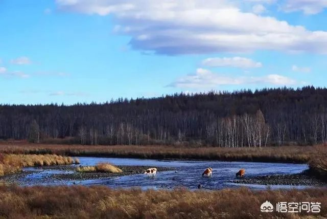 大兴安岭,这么美,你会去看看吗?