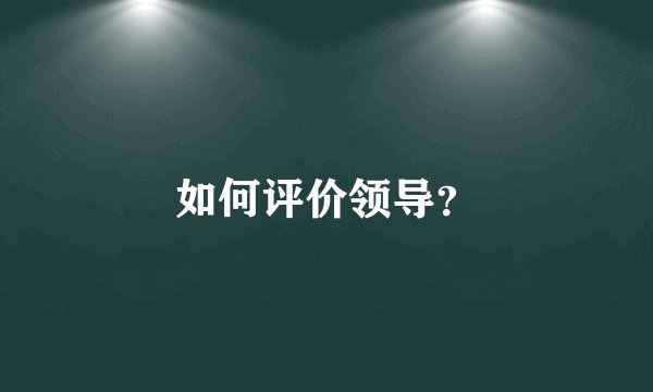 如何评价领导？