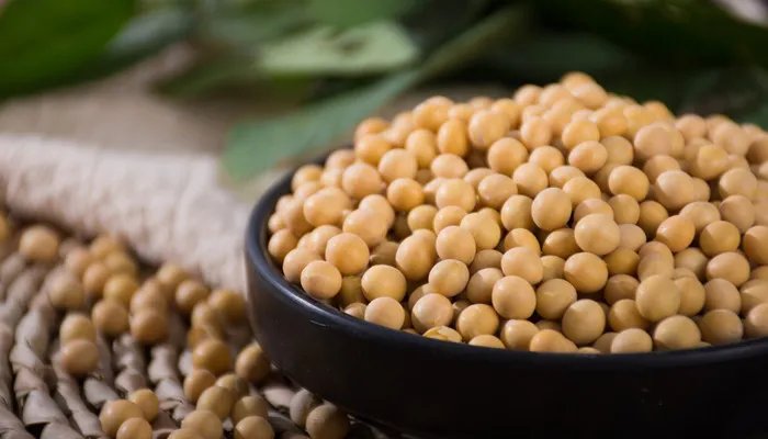 日本纳豆是什么东西 日本纳豆指的是什么东西