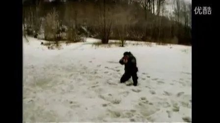 西斯特玛的介绍