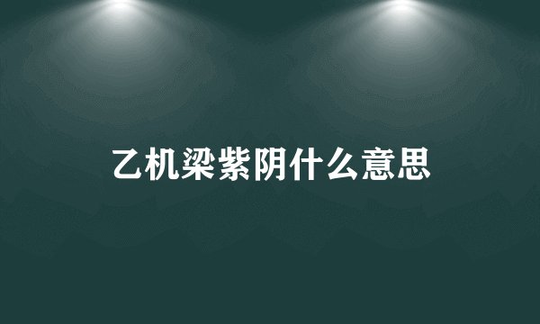 乙机梁紫阴什么意思