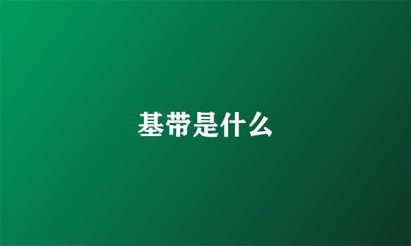 基带是什么