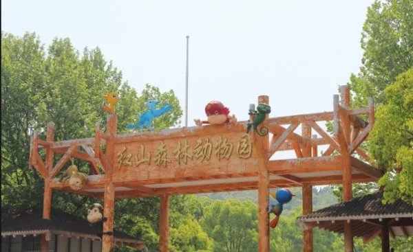 南京红山动物园疫情亏损三千万，为何红山的艰难会让大家如此揪心？