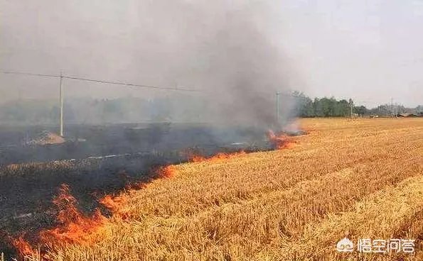 为什么石家庄的雾霾比较严重？