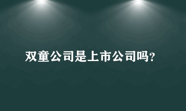 双童公司是上市公司吗？