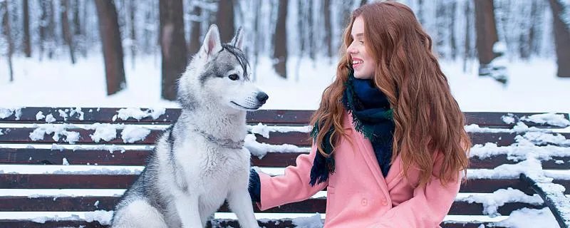 梦见狗咬伤预示什么 梦见狗咬伤的梦境解析