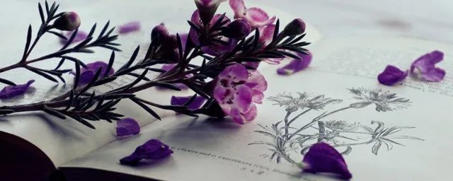 柔情似水的意思