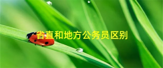 省直和地方公务员区别