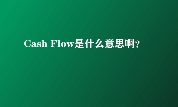 Cash Flow是什么意思啊？