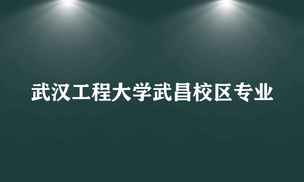 武汉工程大学武昌校区专业