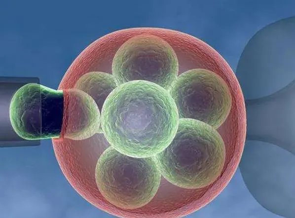 成都华西附二院试管价格-成都华西医院人工授精多少钱？