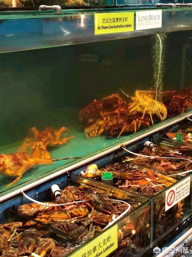 马来西亚好玩吗？