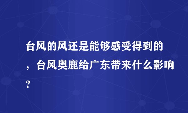 台风的风还是能够感受得到的，台风奥鹿给广东带来什么影响？
