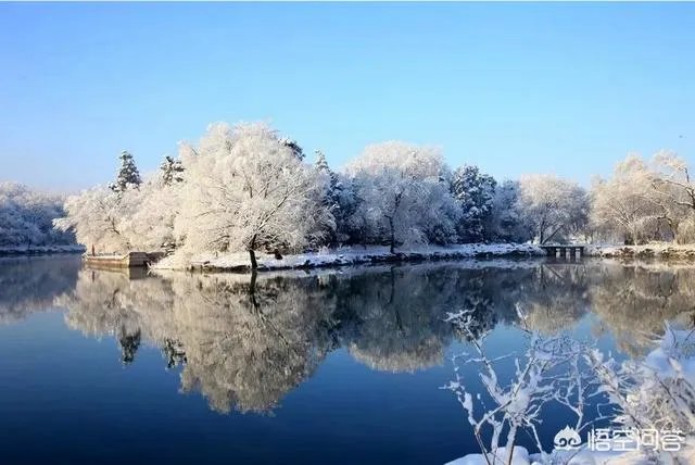为什么有人说蔡元培时代是北大的巅峰？