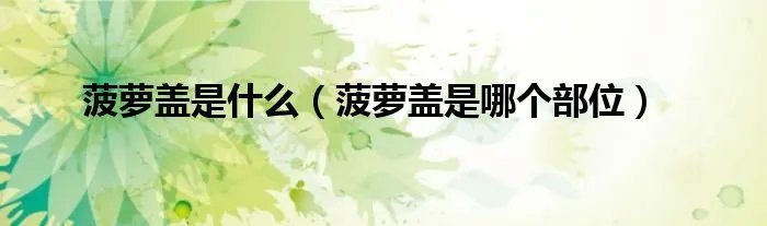 菠萝盖是什么（菠萝盖是哪个部位）