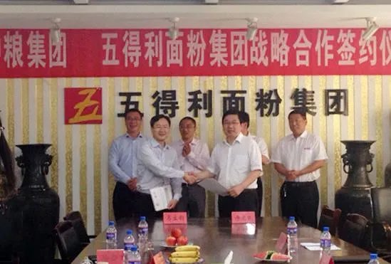 五得利面粉集团有限公司的公司战略