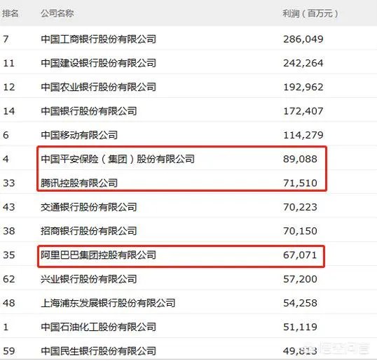 中国最大的私人企业？