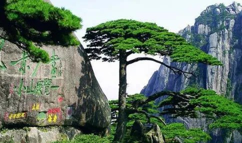 中国的名山大川都有哪些？