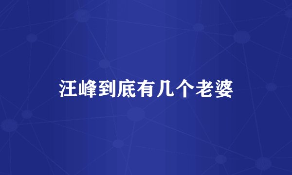汪峰到底有几个老婆