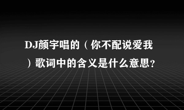 DJ颜宇唱的（你不配说爱我）歌词中的含义是什么意思？