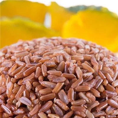 脑萎缩吃什么药最好