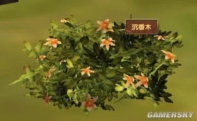 《模拟人生：中世纪》草药种类及分布图