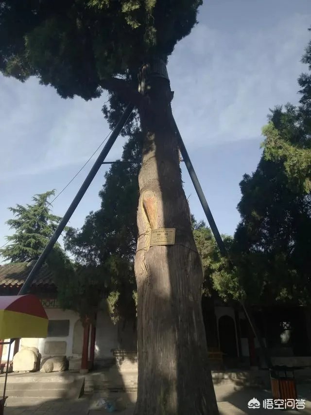 天水有哪些主要景点？