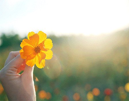 多玩英雄联盟盒子路径在哪