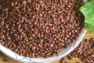 葡萄籽的功效与作用