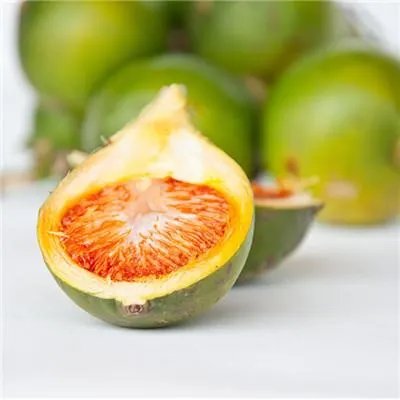 补气补血吃什么