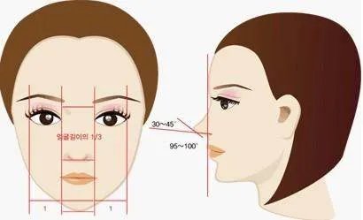 鼻头大怎么整容