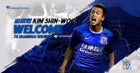 申花接连引进金信煜和沙拉维两名进攻球员,哪两位队内外援会被顶替呢?