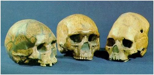 北京人和山顶洞人的区别?谁更早?