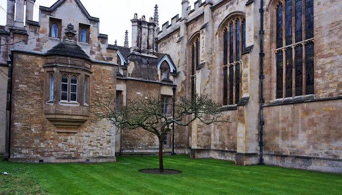 剑桥大学在哪个国家