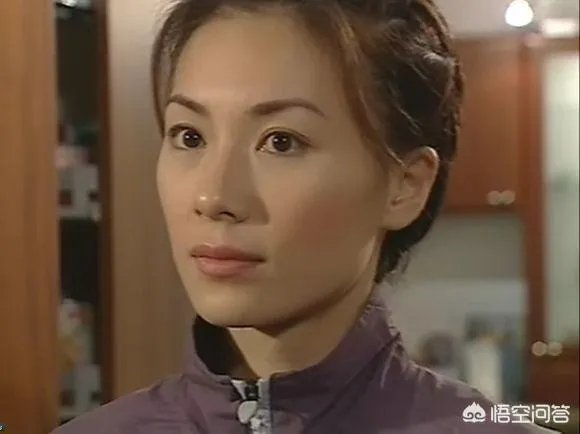 哪里可以看到《九五至尊》这部电视剧?