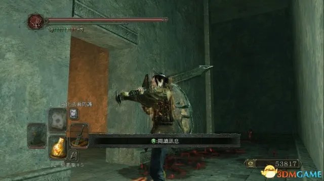 黑暗之魂2原罪学者全隐藏门位置一览 隐藏门在哪