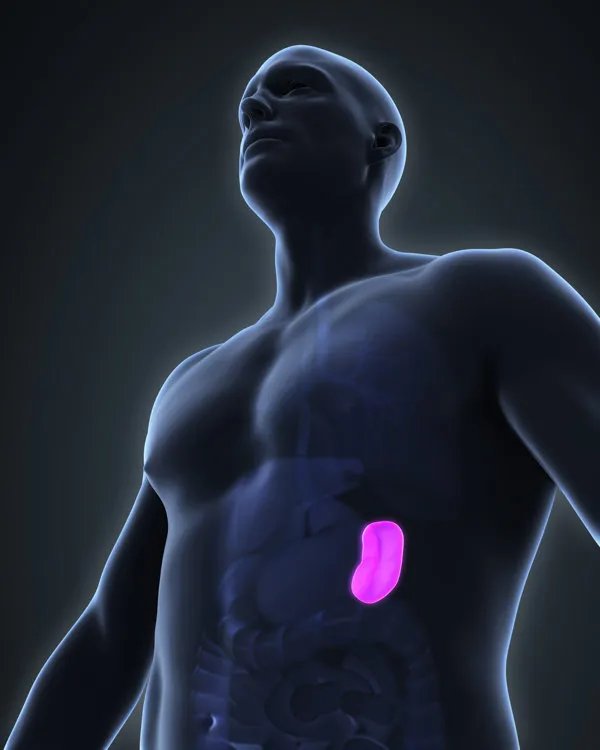 怎样提高性功能