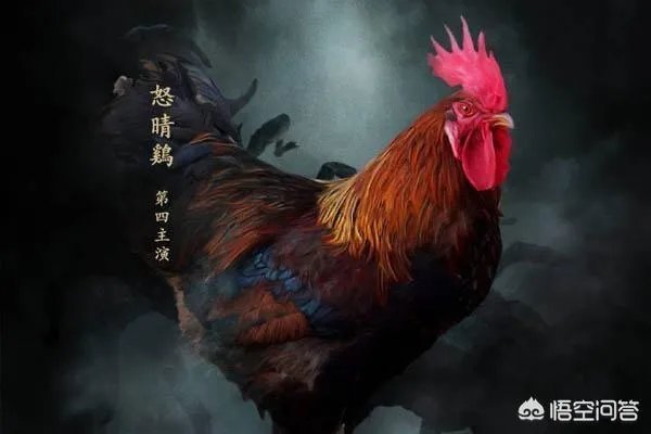 怒晴湘西中怒晴鸡怎么打不过六翅蜈蚣，它不是蜈蚣的克星吗？