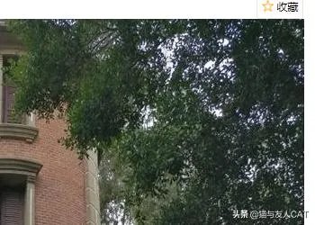 鼓浪屿门票价格详情？