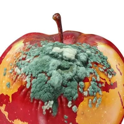 脸上长痤疮怎么办呀