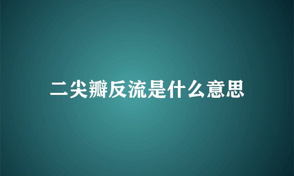 二尖瓣反流是什么意思