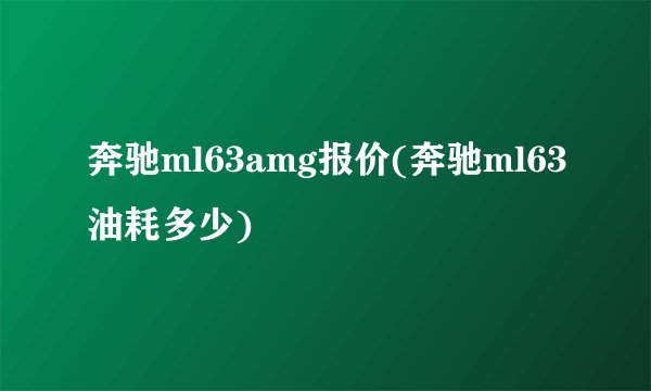 奔驰ml63amg报价(奔驰ml63油耗多少)