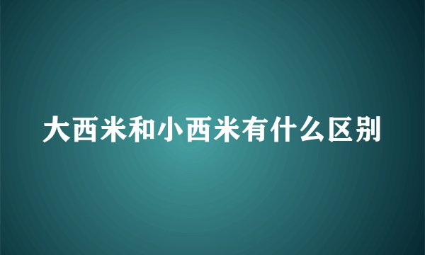 大西米和小西米有什么区别