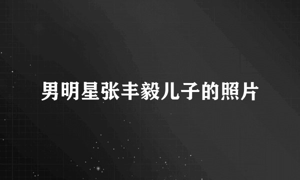 男明星张丰毅儿子的照片