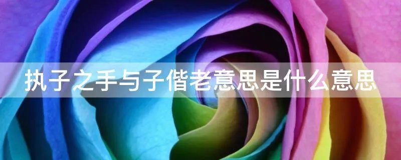 执子之手与子偕老意思是什么意思